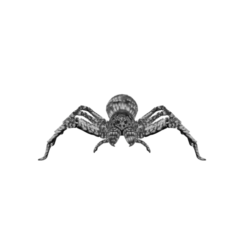 Haloween Spider 3D model preview