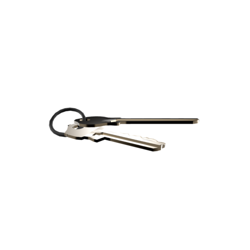 Lost Keys 3D model preview