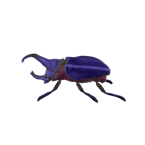 Purple Rhino Beetle 3D model preview