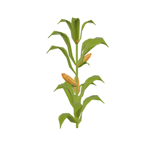 C.O.R.N Corn 3D model preview